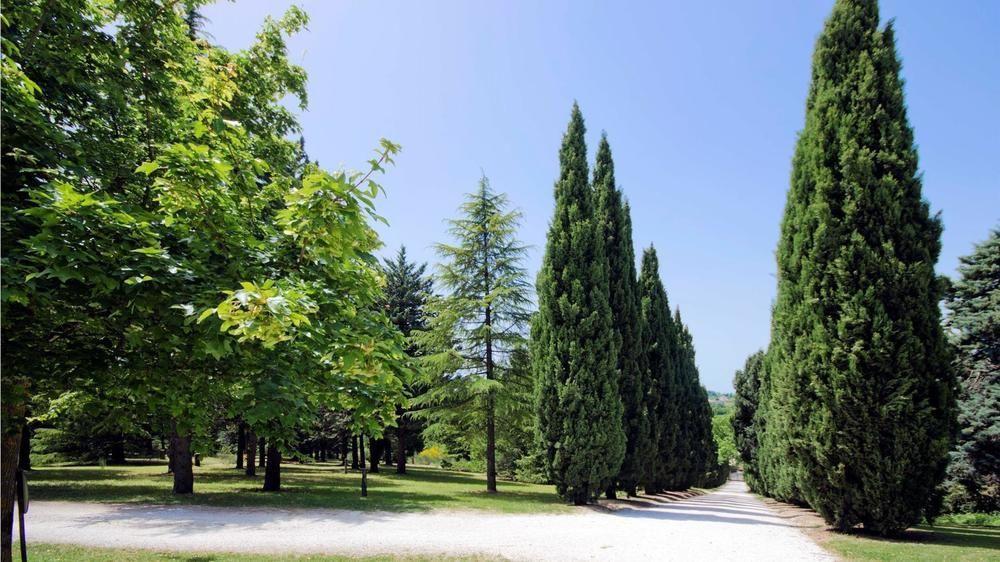 Convento Di San Francesco Mondaino Bed and Breakfast Εξωτερικό φωτογραφία